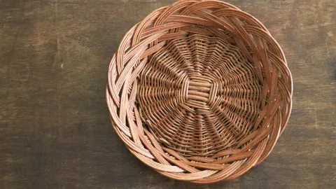 “颜欣慧刷新女子400米自由泳全国最佳成绩”